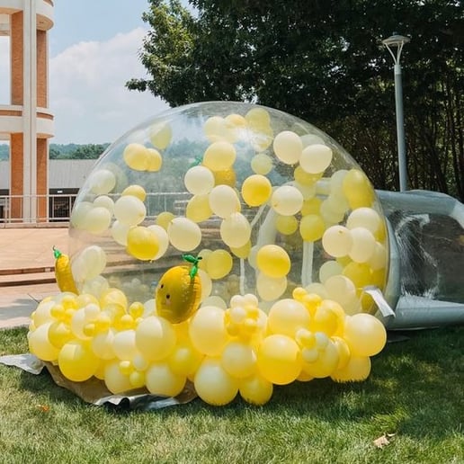 Gallery photo 5 of Balloon Dome