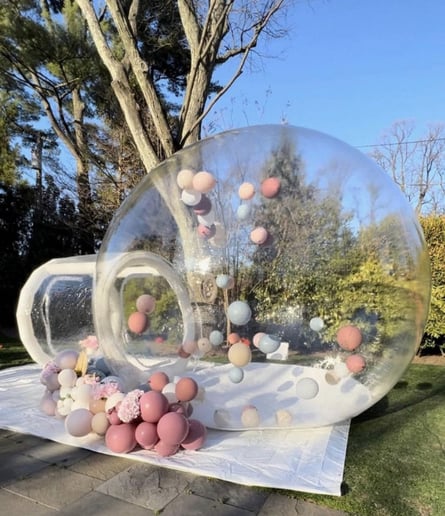 Gallery photo 6 of Balloon Dome