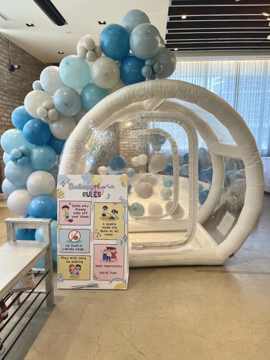 Gallery photo 1 of Balloon Dome