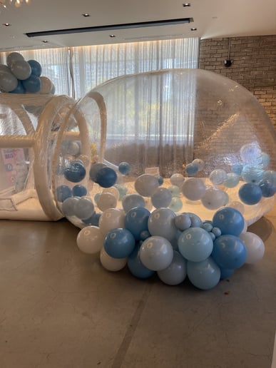 Gallery photo 4 of Balloon Dome