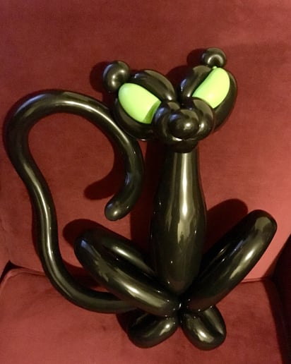 Gallery photo 13 of Balloon Hysteria NYC | R David’s Comedy-Magic
