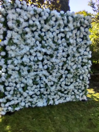 Gallery photo 9 of Balloon Made