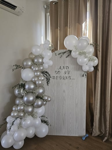 Gallery photo 2 of Balloon Theories