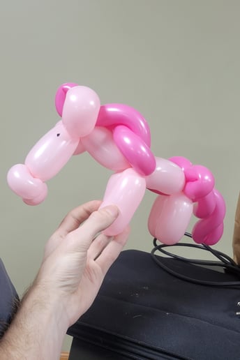 Gallery photo 10 of Balloon Twisting by Joe