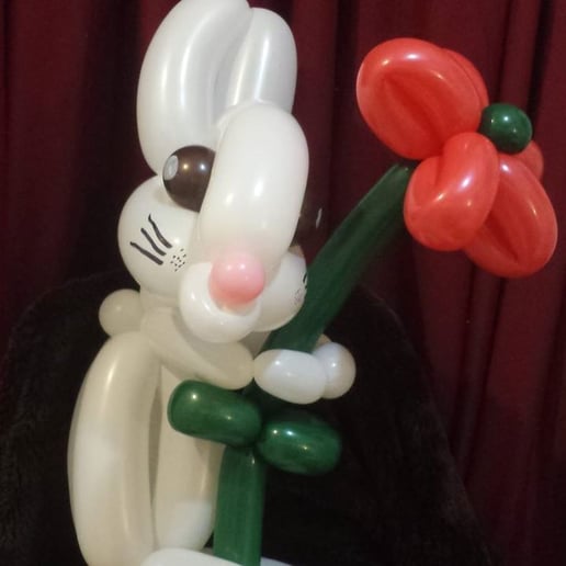Gallery photo 3 of Balloon Twisting