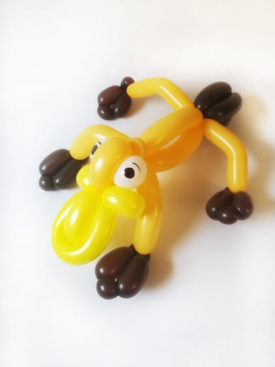 Gallery photo 7 of Balloonables