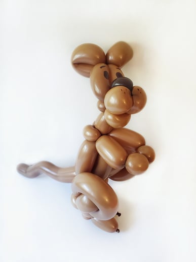 Gallery photo 8 of Balloonables