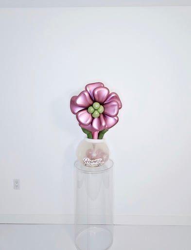 Gallery photo 10 of Balloonina