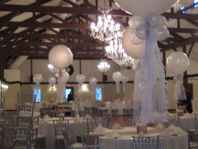 Gallery photo 7 of Balloons Above