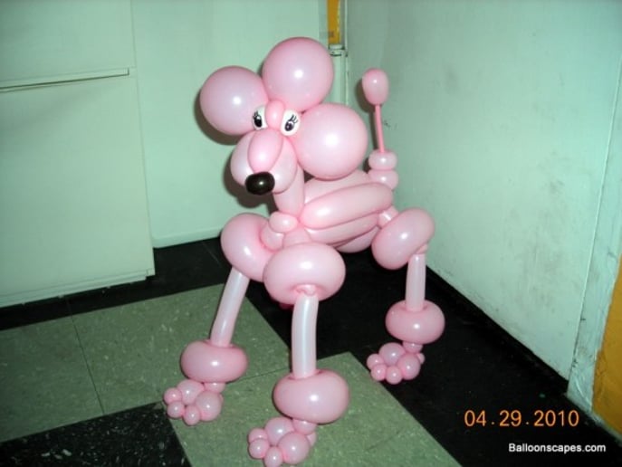Gallery photo 9 of BalloonScapes