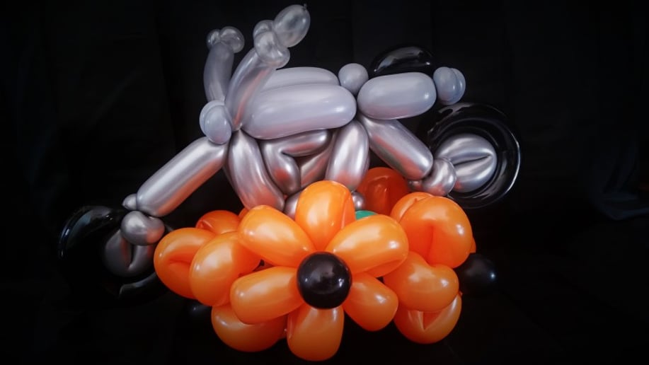 Gallery photo 3 of Balloontacular!