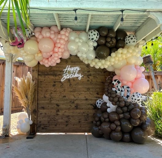 Gallery photo 5 of Balloonz4you