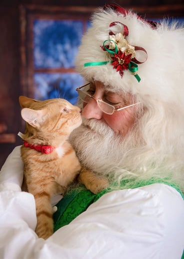 Gallery photo 5 of Bama and Kay Kringle Claus