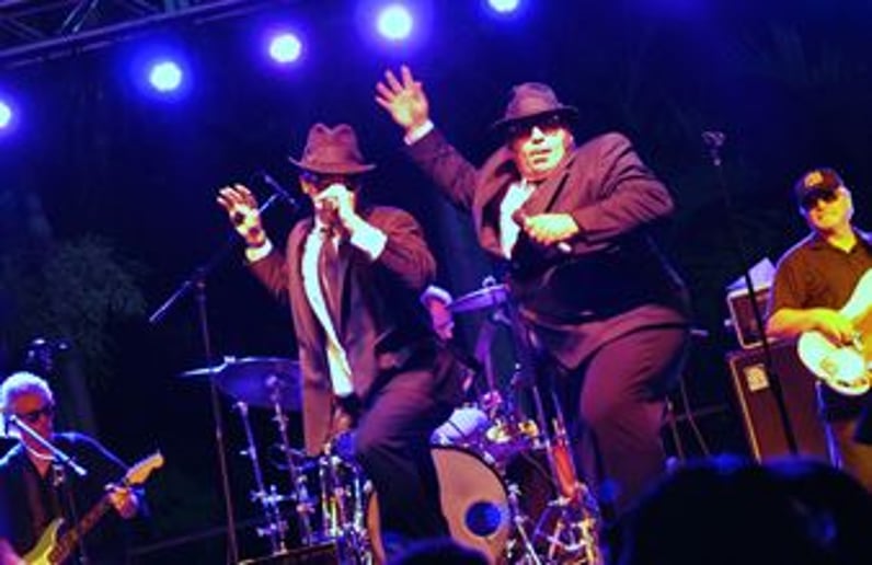 Gallery photo 1 of Stellar Entertainment