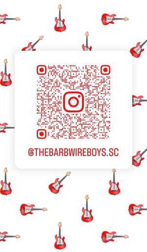 Gallery photo 5 of  Ruby & The Barbwire Boys