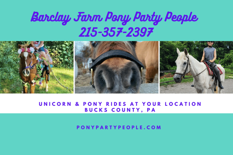 Gallery photo 2 of Barclay Farm Pony Party People