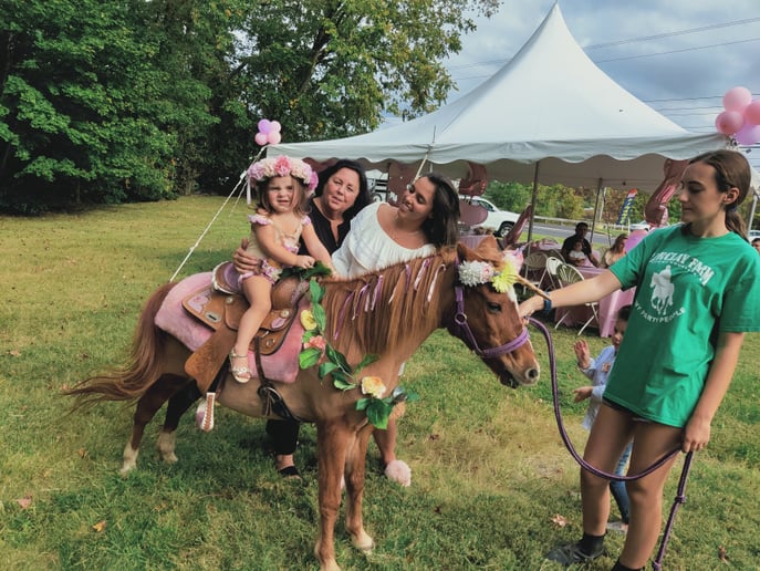 Gallery photo 3 of Barclay Farm Pony Party People