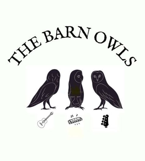 Gallery photo 1 of Barn Owl Blues Band