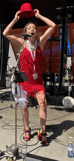 Gallery photo 7 of Barnstormer Band
