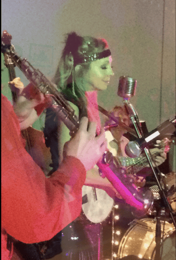 Gallery photo 10 of Barnstormer Band