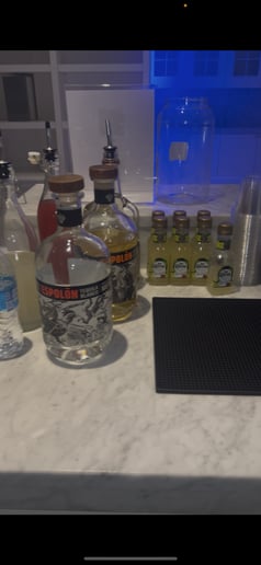Gallery photo 9 of Bartender Bros Inc.