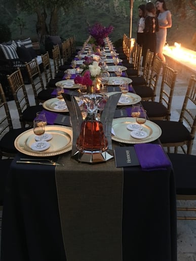 Gallery photo 4 of A-List Party Staffing Service