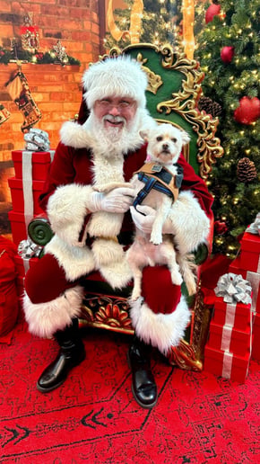 Gallery photo 11 of Battle Born Santa