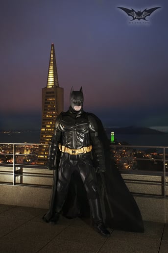 Gallery photo 3 of Bay Area Hero