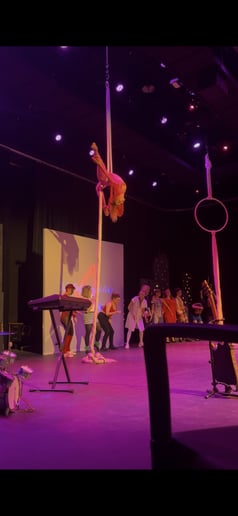 Gallery photo 1 of Bayleigh Alexandra Aerial Artistry