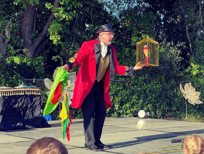 Gallery photo 12 of Cosmo / Fabulous Comedy Magic