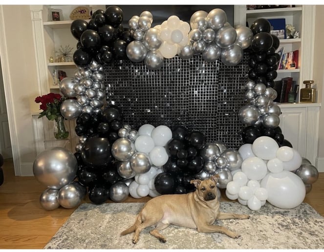 Gallery photo 5 of Be More Balloons