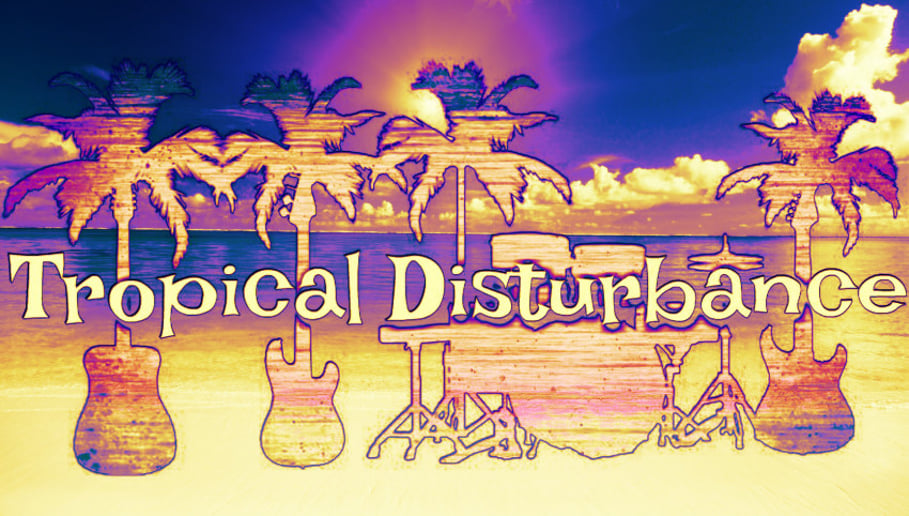 Gallery photo 5 of Beach Bum Barry