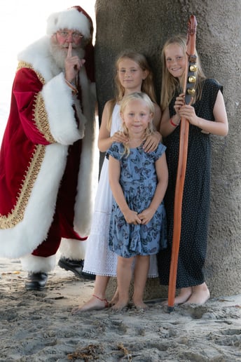 Gallery photo 10 of Beach Santa Steve