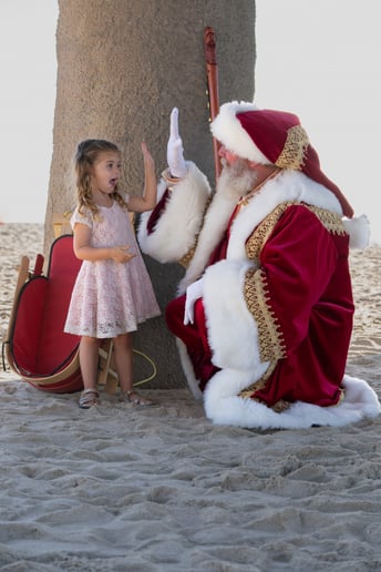 Gallery photo 15 of Beach Santa Steve