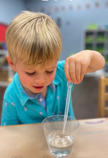 Gallery photo 7 of Beakers and Bugs