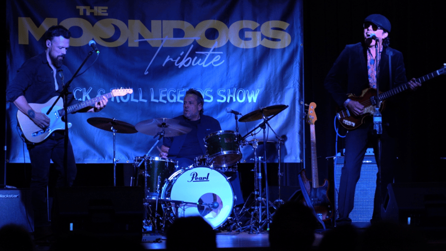 Gallery photo 1 of Beatles Tribute Man – Solo, Duo & Full Band