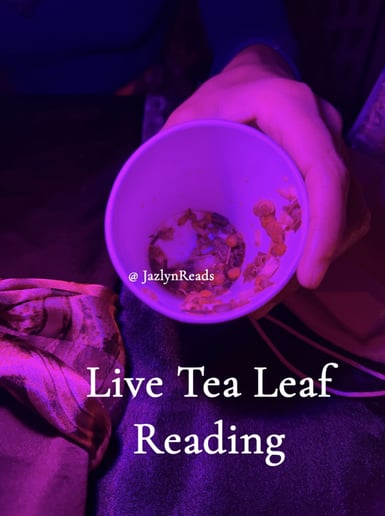 Gallery photo 6 of Jazlyn Reads