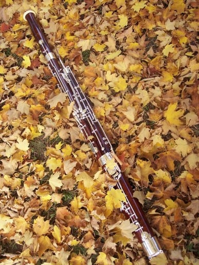 Gallery photo 2 of Beautiful Bassoonist