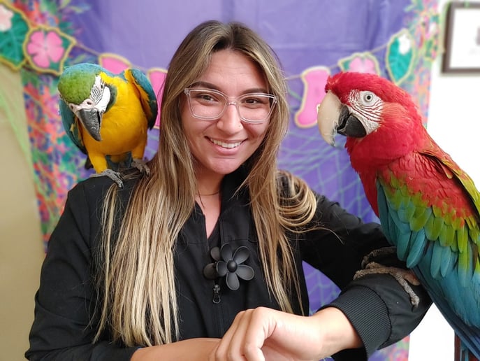 Gallery photo 1 of Beauty of Birds