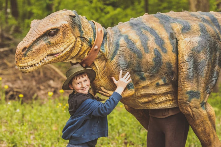Gallery photo 2 of Beaux the Tyrannosaurus Rex