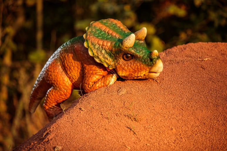 Gallery photo 9 of Beaux the Tyrannosaurus Rex
