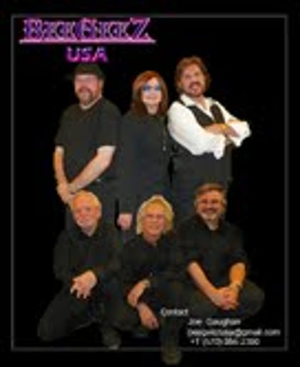 Gallery photo 1 of BeeGeeZ USA