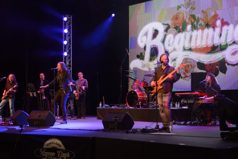 Gallery photo 2 of Beginnings: A Tribute to the Music of Chicago
