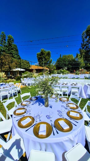 Gallery photo 11 of Behind the Stick LA