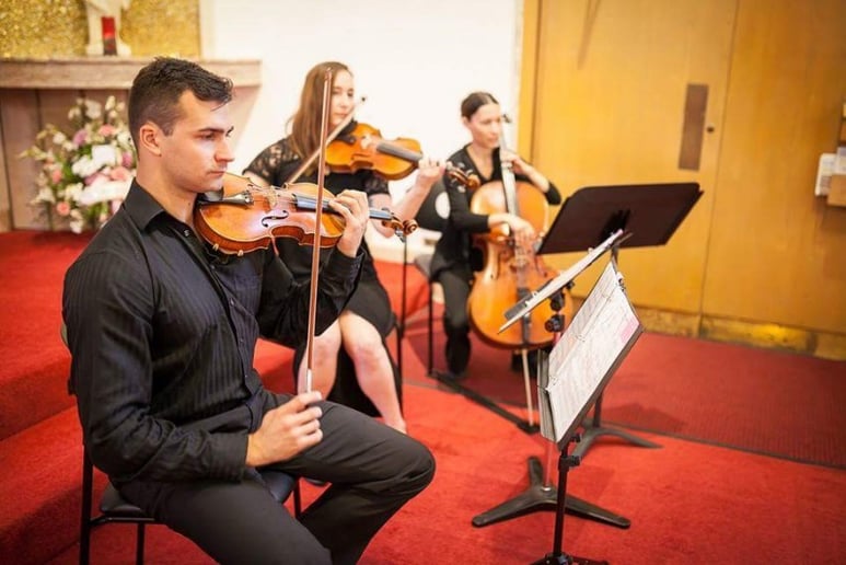 Gallery photo 1 of Bel Canto Strings