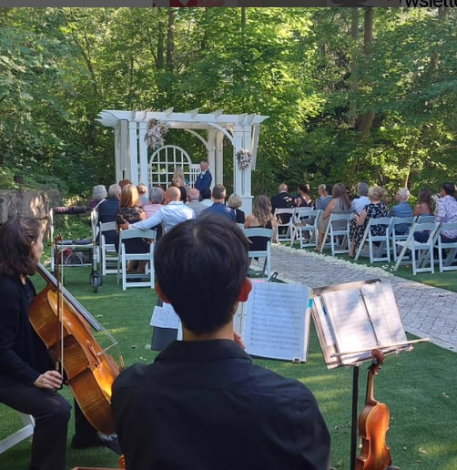 Gallery photo 7 of Bel Canto Strings