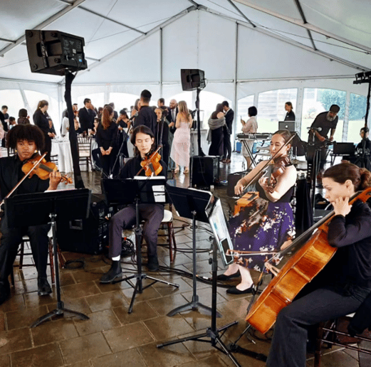 Gallery photo 10 of Bel Canto Strings