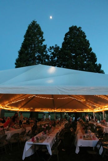 Gallery photo 5 of Bella Fontaine Events