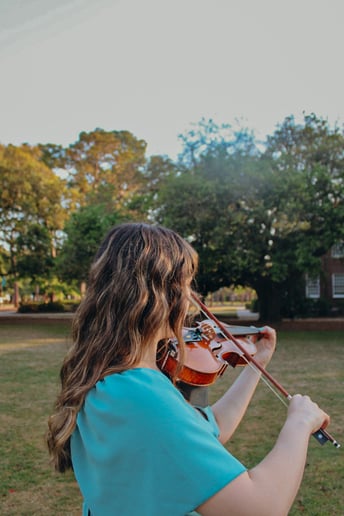 Gallery photo 2 of Bella Rose Violin