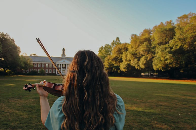 Gallery photo 4 of Bella Rose Violin